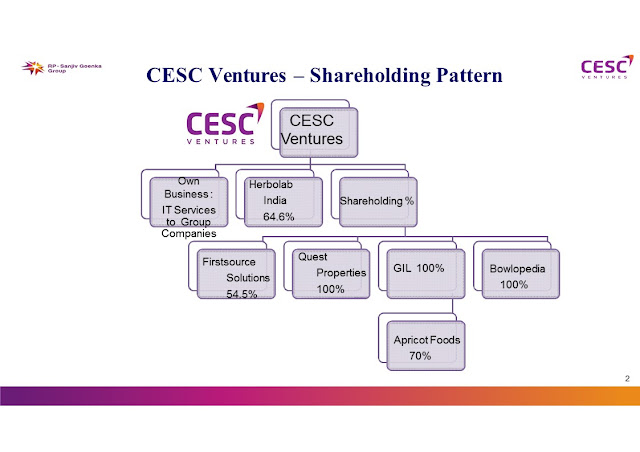 list of holding companies held by cesc ventures
