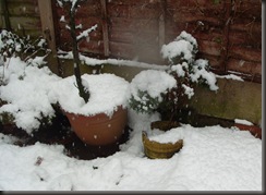 SNOW DEPTH