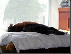 sunning