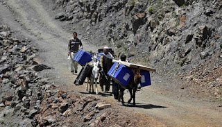  Gambar alat transportasi tradisional dan modern sengaja saya susun agar adik Kliping Gamb Kliping Gambar Alat Transportasi Tradisional dan Modern 