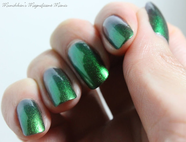 Holo Taco Multichrome Collection- Chameleon Coat