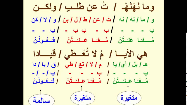 شرح درس البحر الوافر في اللغة العربية للصف العاشر الفصل الثالث 2024