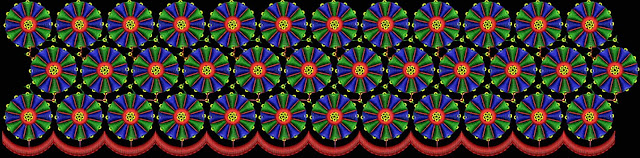 Wedding sarees biên giới ren