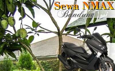 Rental motor N-Max Jl. Kembar Timur Bandung