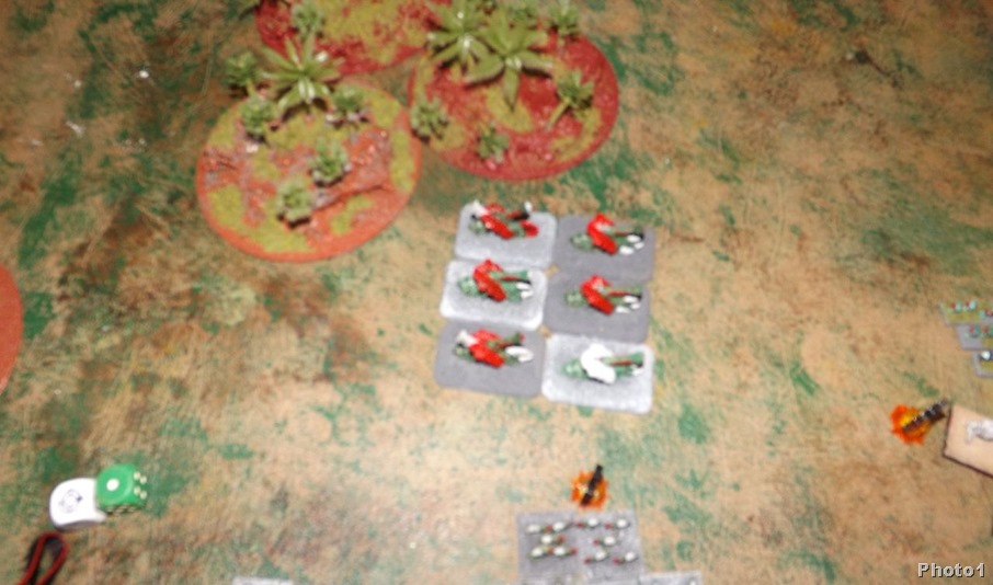 DSCF4919