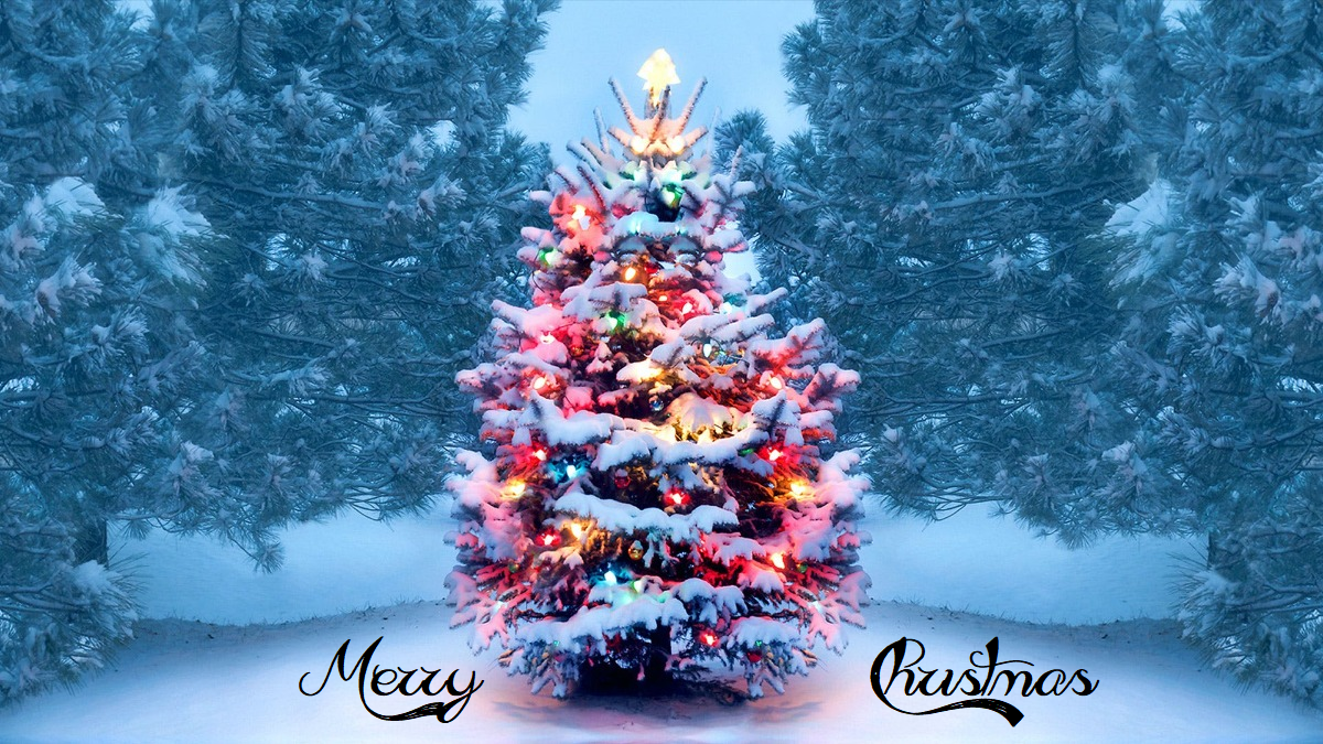 merry-christmas-wishes