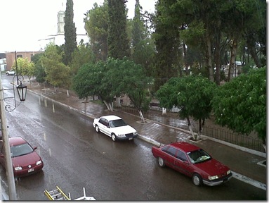 IMG00910-20110701-1404