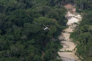 Ibama define nova prioridade para enfrentar perdas na biodiversidade e a crise climática