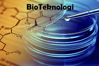 bioteknologi, pengertian bioteknologi, macam bioteknologi, jenis bioteknologi, bioteknologi menurut para ahli, bioteknologi modern, makalah bioteknologi, makalah bioteknologi, contoh bioteknologi, bioteknologi pertanian, pangan, artikel, manfaat, definisi bioteknologi