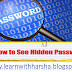 How to see the Hidden Password 