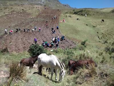 ANTAMINA YA  TIENE 900 HECTÁREAS DE DOS DISTRITOS DE HUAMALÍES 