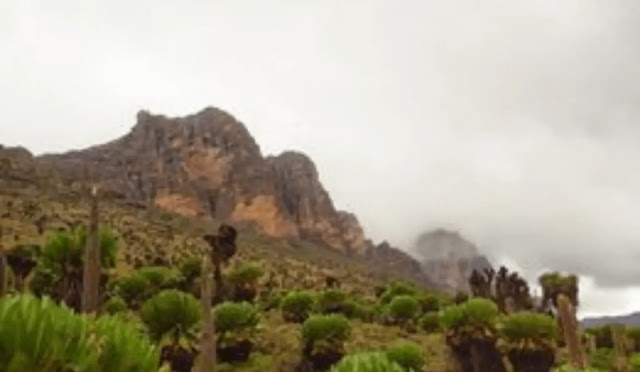 Part of the Sendeu peaks outcrop from Mackinders Valley. mt kenya