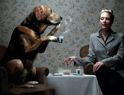 Creative Photography by Romain Laurent