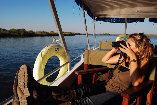 observation de la faune depuis le bateau