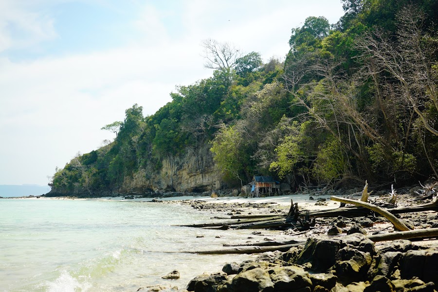 Phi phi one day speedboat tour