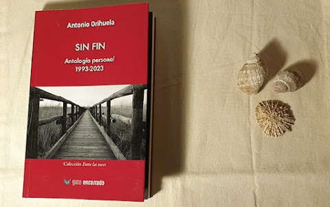 «Sin fin», de Antonio Orihuela (Gato encerrado)
