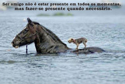 Ser amigo não é estar presente em todos os momentos, mas fazer-se presente quando necessário.