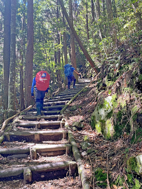 往九九山莊