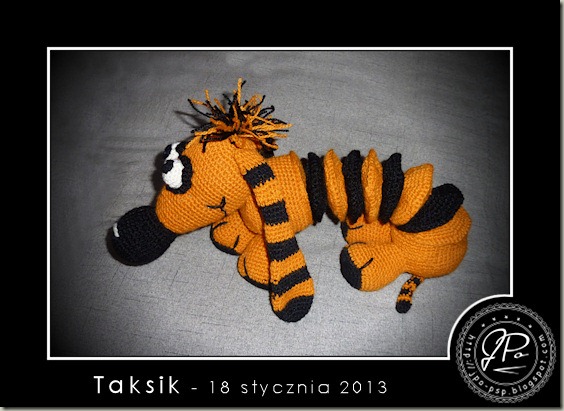 JPo-taksik-13-01-2013-1