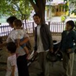 View album