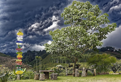 JARDINES BOTANICOS EN COLOMBIA