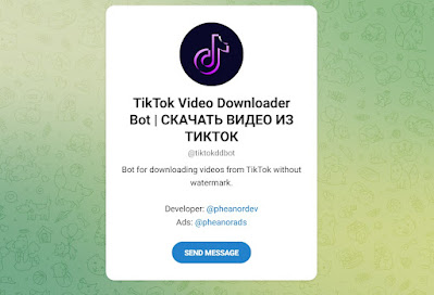 TikTok Bot