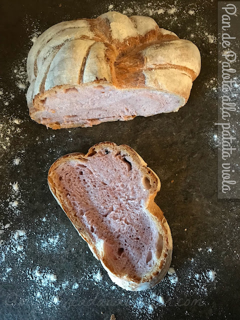 Pan de Pelota