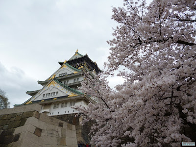 大阪城と桜