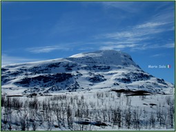 4D_VER_LAPPLAND_09