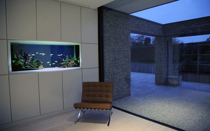 16+ Harga Aquarium Mewah