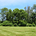 Holder-Wright Earthworks, Jeffers Mound, and Kerr Mound