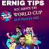 T20 World Cup Prize Money ICC Showed To Make