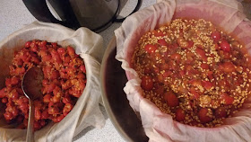 gathering rosehips and making rosehip syrup recipe