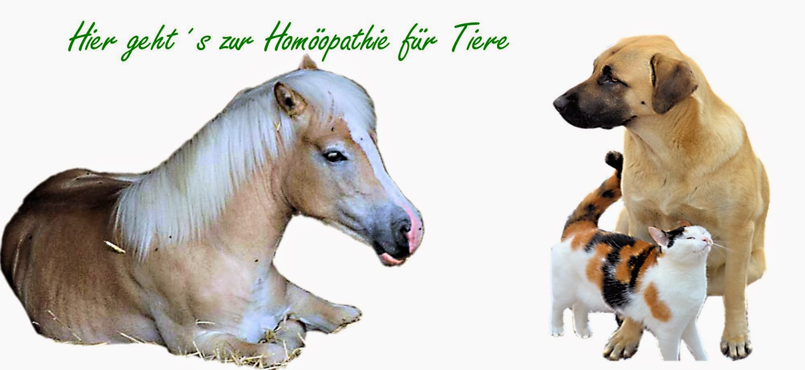 http://www.homoeopathie-fuer-tiere.eu/