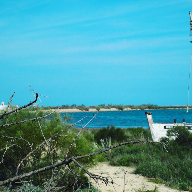 parque-natural-da-ria-formosa-olhao-algarve