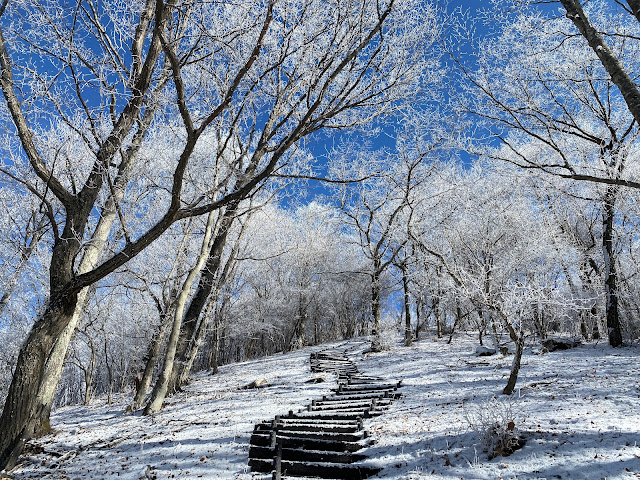 Snow on Hanareyama