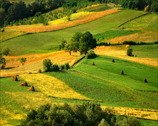 Maravillas de la Naturaleza