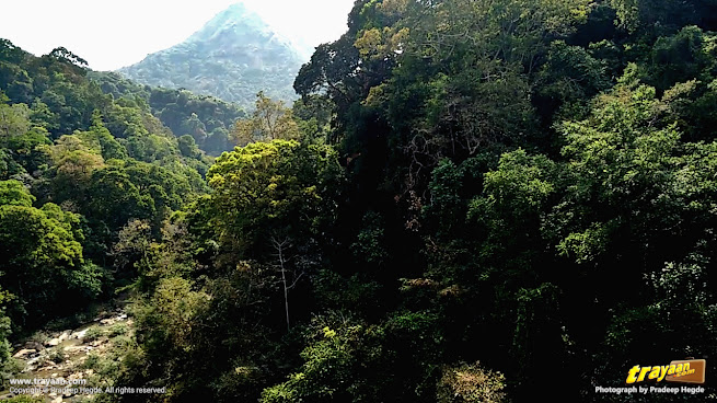 A small stream or rivulet and a sharp-peaked mountain