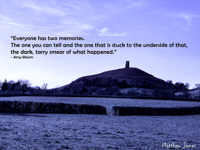 “Everyone has two memories. The one you can tell and the one that is stuck to the underside of that, the dark, tarry smear of what happened.” ― Amy Bloom