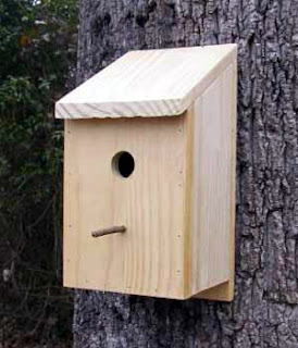 Woodwork Small  Bird  House  Plans  PDF Plans 