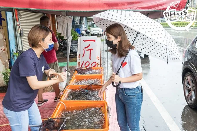 高雄 美食 泰國蝦 段泰國蝦 零售 批發 團購 合購 教學 煮法 活蝦 冷凍 宅配 推薦