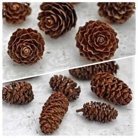 http://www.liveandlovecrafts.com/wood-natural-embellishments/1055-larch-cones.html