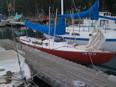 The "Blue"nose Sloop