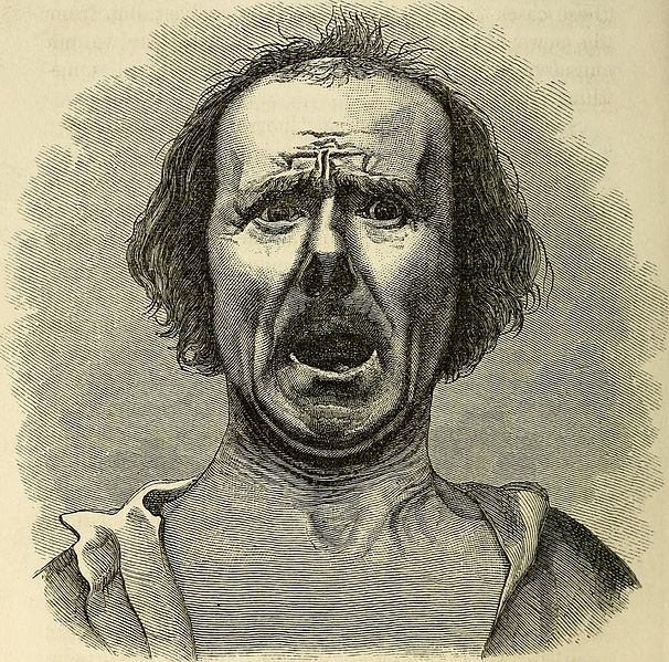 https://commons.wikimedia.org/wiki/File:The_expression_of_the_emotions_in_man_and_animals_(1872)_(14771346374).jpg