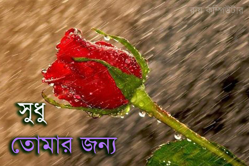 Orkut Scrap - Flowers: 1