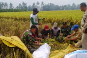 Sinergitas TNI dan Petani Tingkatkan Produksi Pertani