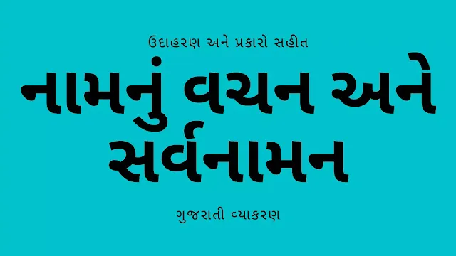 નામનું વચન અને સર્વનામની ઉદાહરણ સાથે સમજૂતી