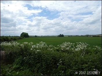 P1030434sm