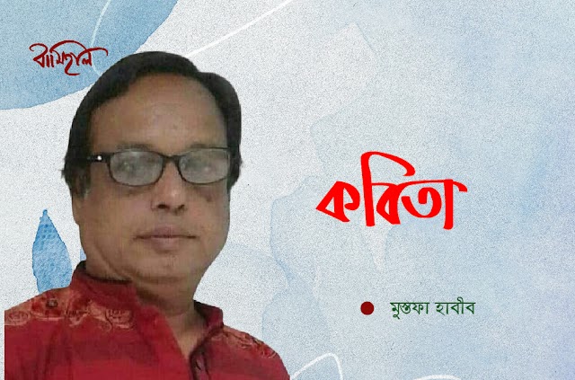 মুস্তফা হাবীব এর কবিতা~অবিশ্বাস্য নয়