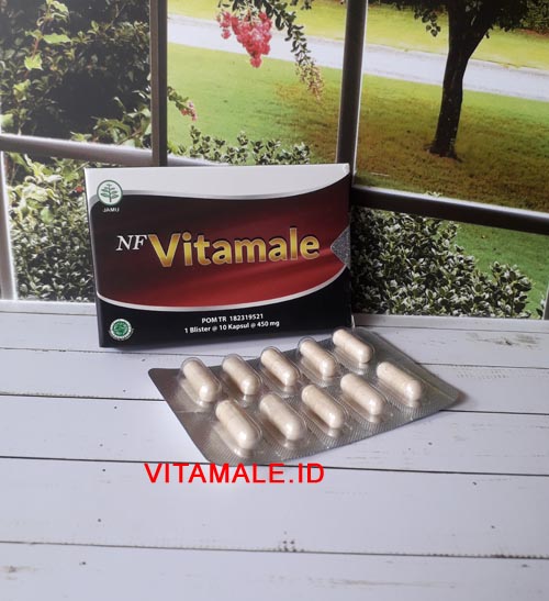 <br/>Sebagai Distributor NFVitamale di Ibu Kota Jakarta, kami Bisa Kirim Sampai ke Wilayah Anda<br/>